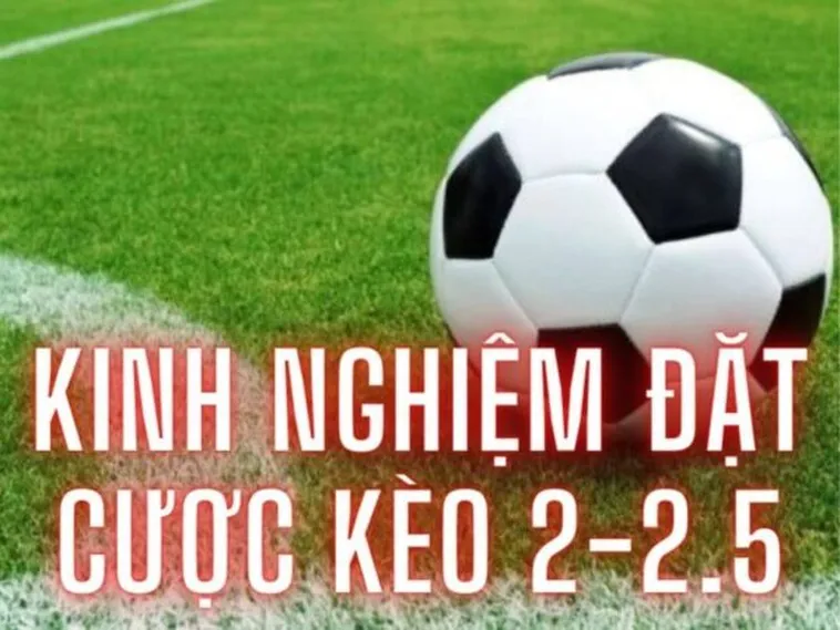 Bí Mật Về Kèo 2.25 Giúp Người Chơi Tối Ưu Hóa Lợi Nhuận
