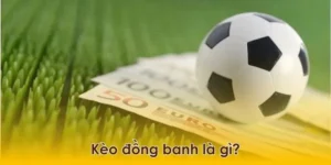 Tuyệt Chiêu Đọc Kèo Đồng Banh Đảm Bảo Thắng Lớn Mỗi Ngày