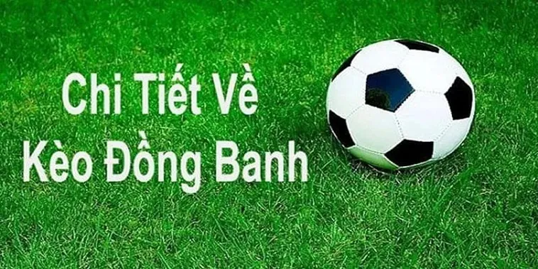 Tuyệt Chiêu Đọc Kèo Đồng Banh Đảm Bảo Thắng Lớn Mỗi Ngày