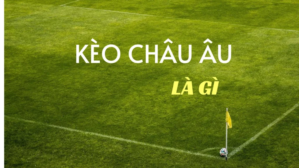 Chiến Thuật Soi Kèo Châu Âu Hiệu Quả Nhất Dành Cho Người Mới