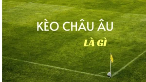Chiến Thuật Soi Kèo Châu Âu Hiệu Quả Nhất Dành Cho Người Mới