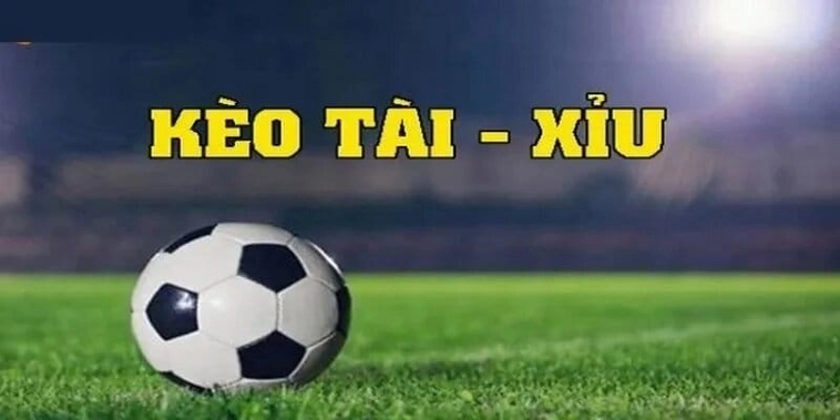Bí Kíp Soi Kèo Tài Xỉu Chuẩn Xác Giúp Tăng Tỷ Lệ Thắng