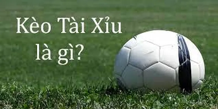 Bí Kíp Soi Kèo Tài Xỉu Chuẩn Xác Giúp Tăng Tỷ Lệ Thắng
