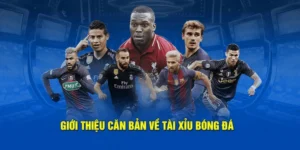 Tuyệt Chiêu Soi Kèo Tài Xỉu Bóng Đá Chuẩn Xác Từ Chuyên Gia
